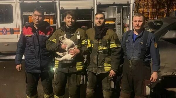 В Москве спасли кота, застрявшего в машине