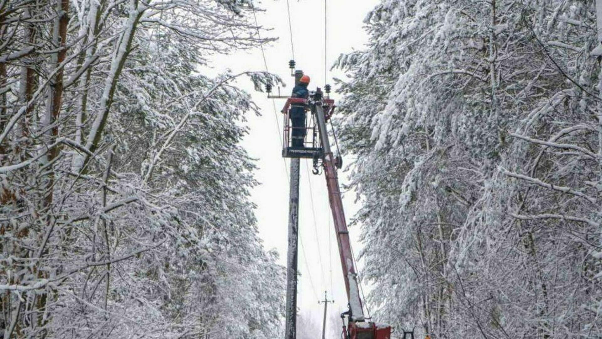 35 тысяч жителей Курской области остались без света из-за снегопада