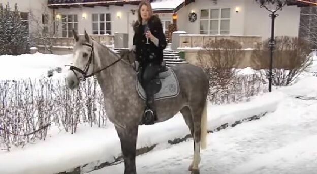 Поклонская на коне. Депутат поздравила россиян с Новым годом