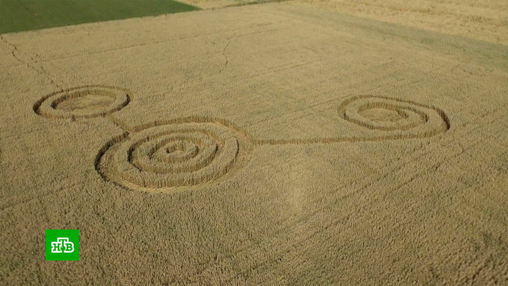 На пшеничном поле в Воронеже появились "инопланетные" круги