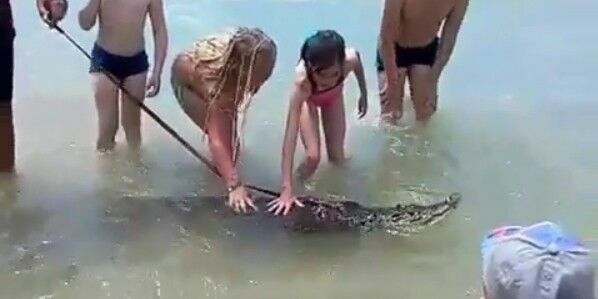В Анапе полиция проверит видео купания крокодила с детьми