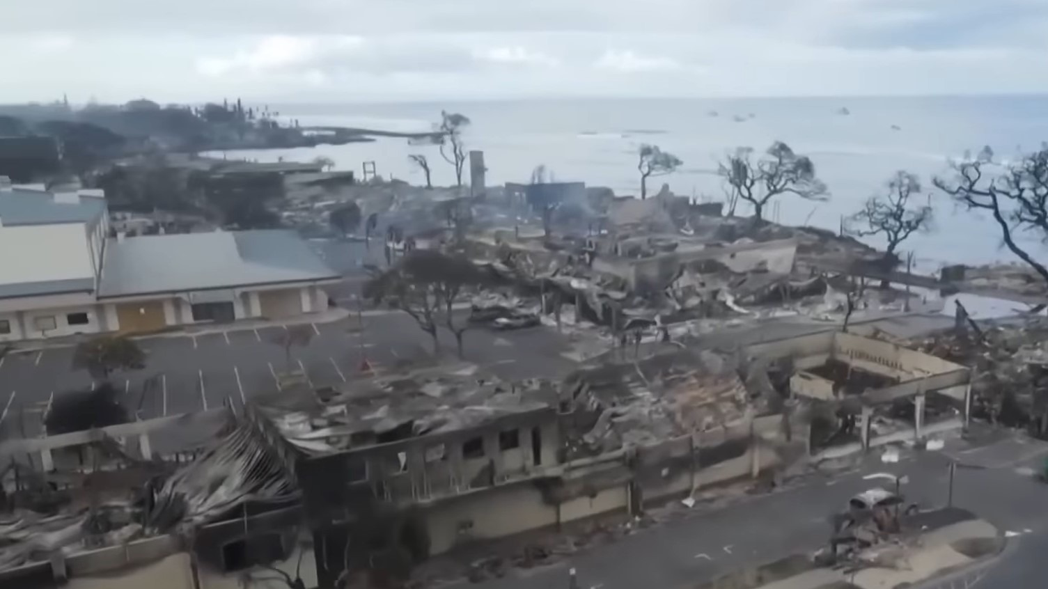 Пожары на Гавайях унесли жизни 67 человек, став крупнейшей катастрофой в истории штат