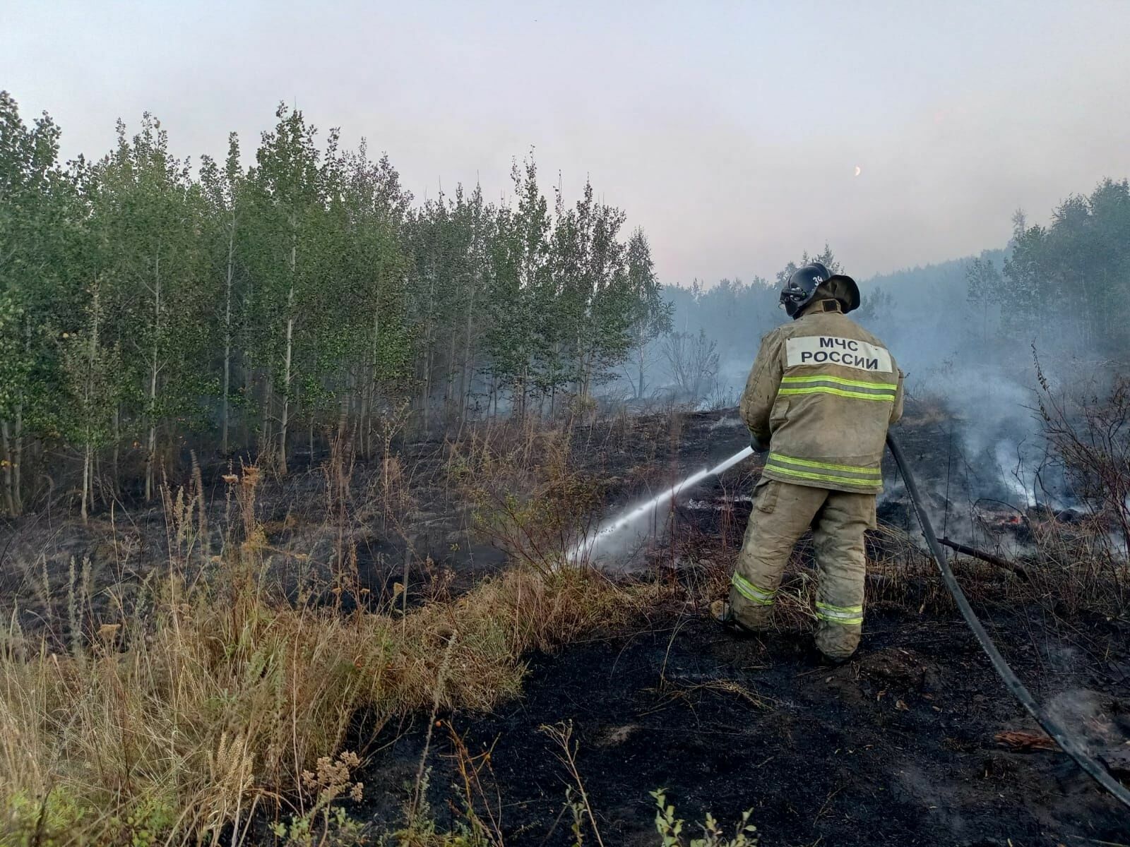 В Туве ввели режим чрезвычайной ситуации из-за лесных пожаров
