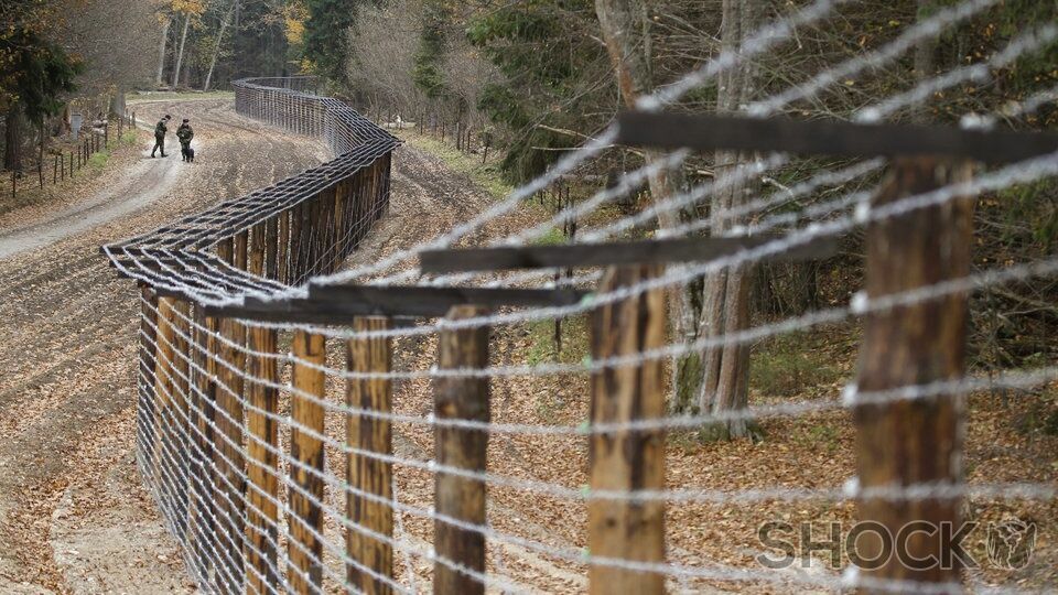 Новая стена: Латвия достраивает забор по границе с Россией