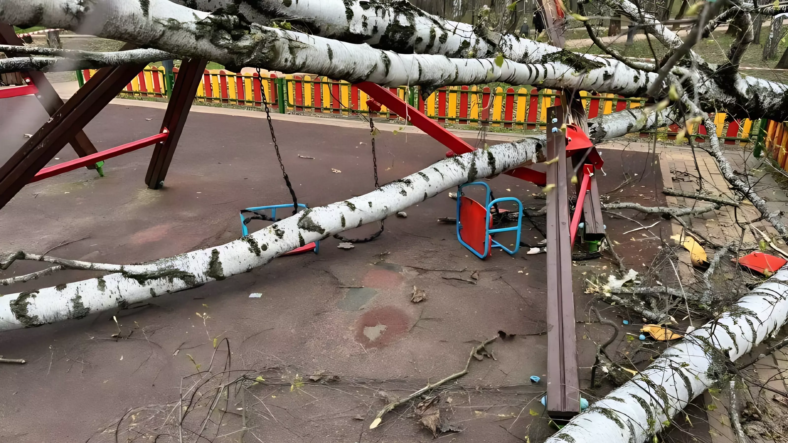 В Красногорске дерево рухнуло на детскую площадку и придавило ребенка