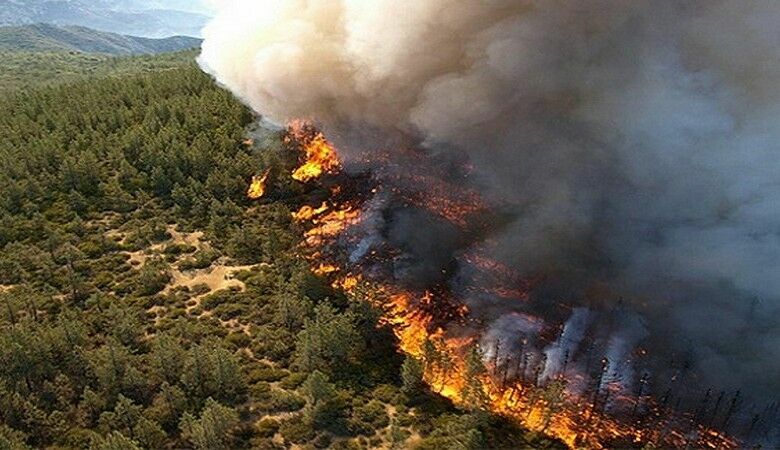 ООН: природные пожары в Северном полушарии ускорят глобальное потепление