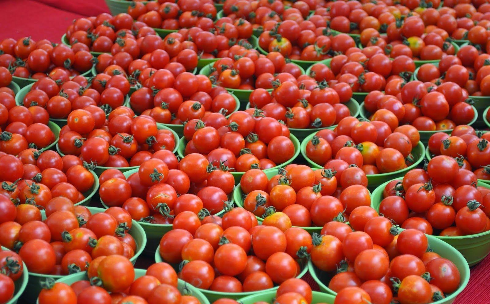 Российские томаты впервые стали дешевле завозных