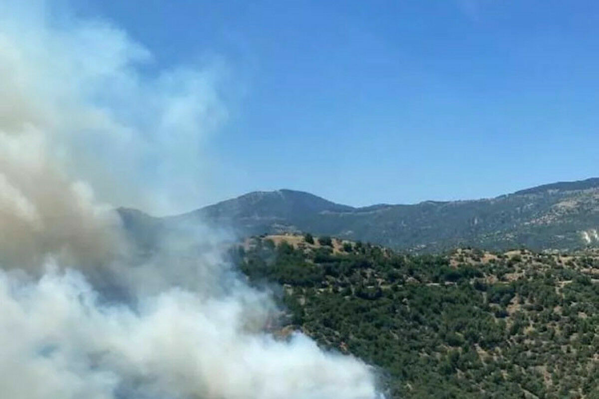 В турецкой Анталье вспыхнул лесной пожар