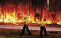 Во Флориде бушуют лесные пожары