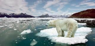 В российской Арктике стремительно растёт скорость потепления