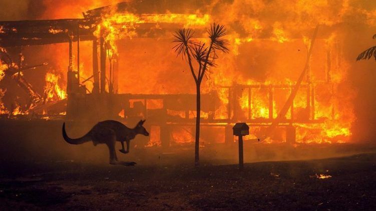 В Австралии горят леса