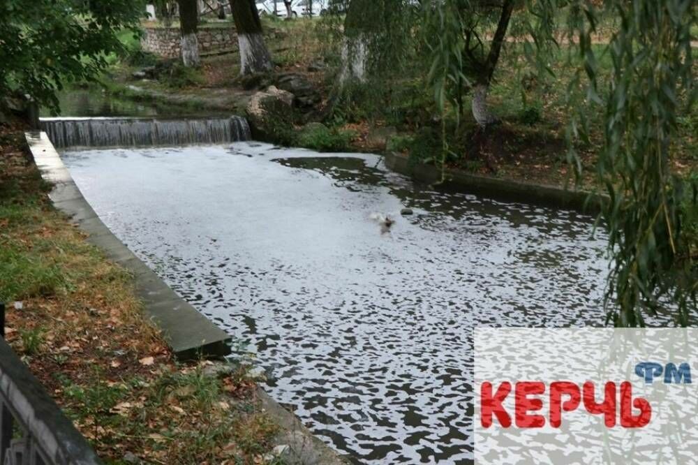 После выбросов серного ангидрида реки в Крыму покрылись пеной