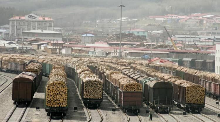 Откуда дровишки? Китай стал лидером по поставкам древесины в США и Европу