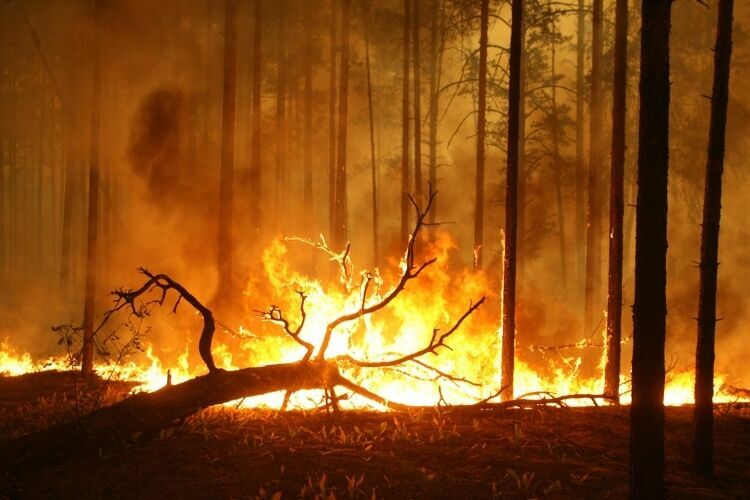 На Дальнем Востоке продолжают бушевать лесные пожары