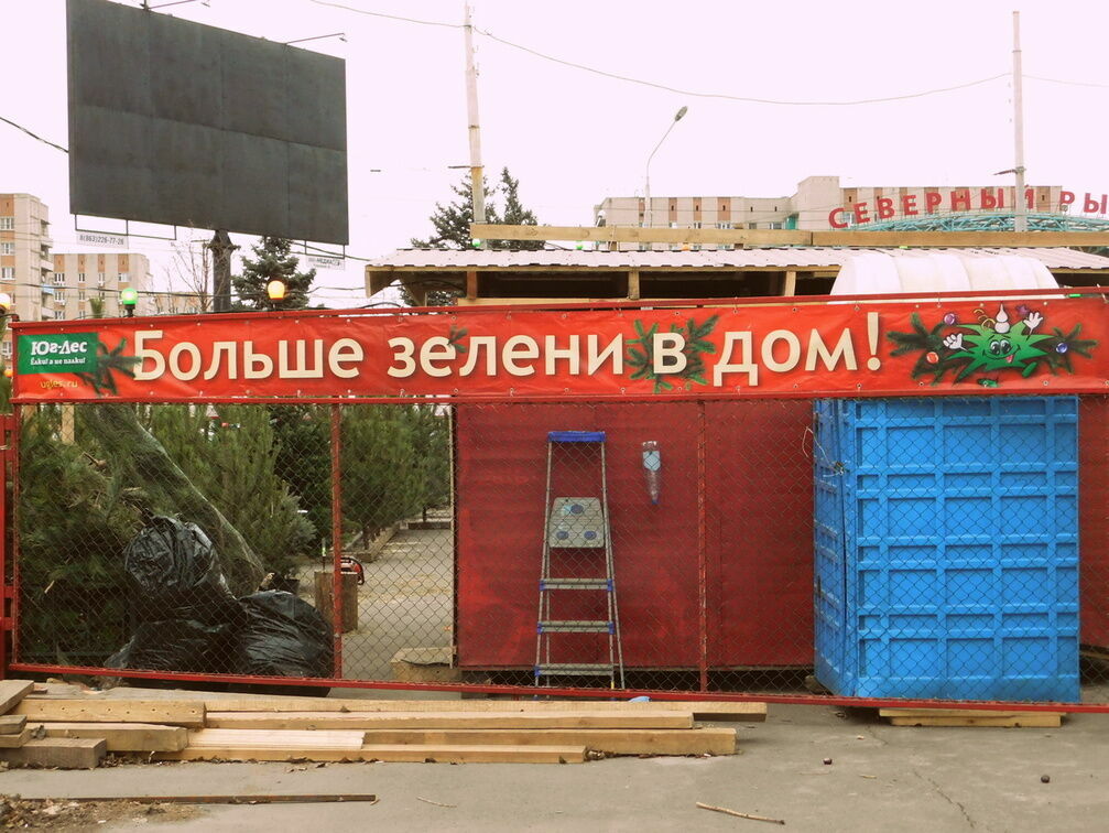 В Москве открылись 237 елочных базаров