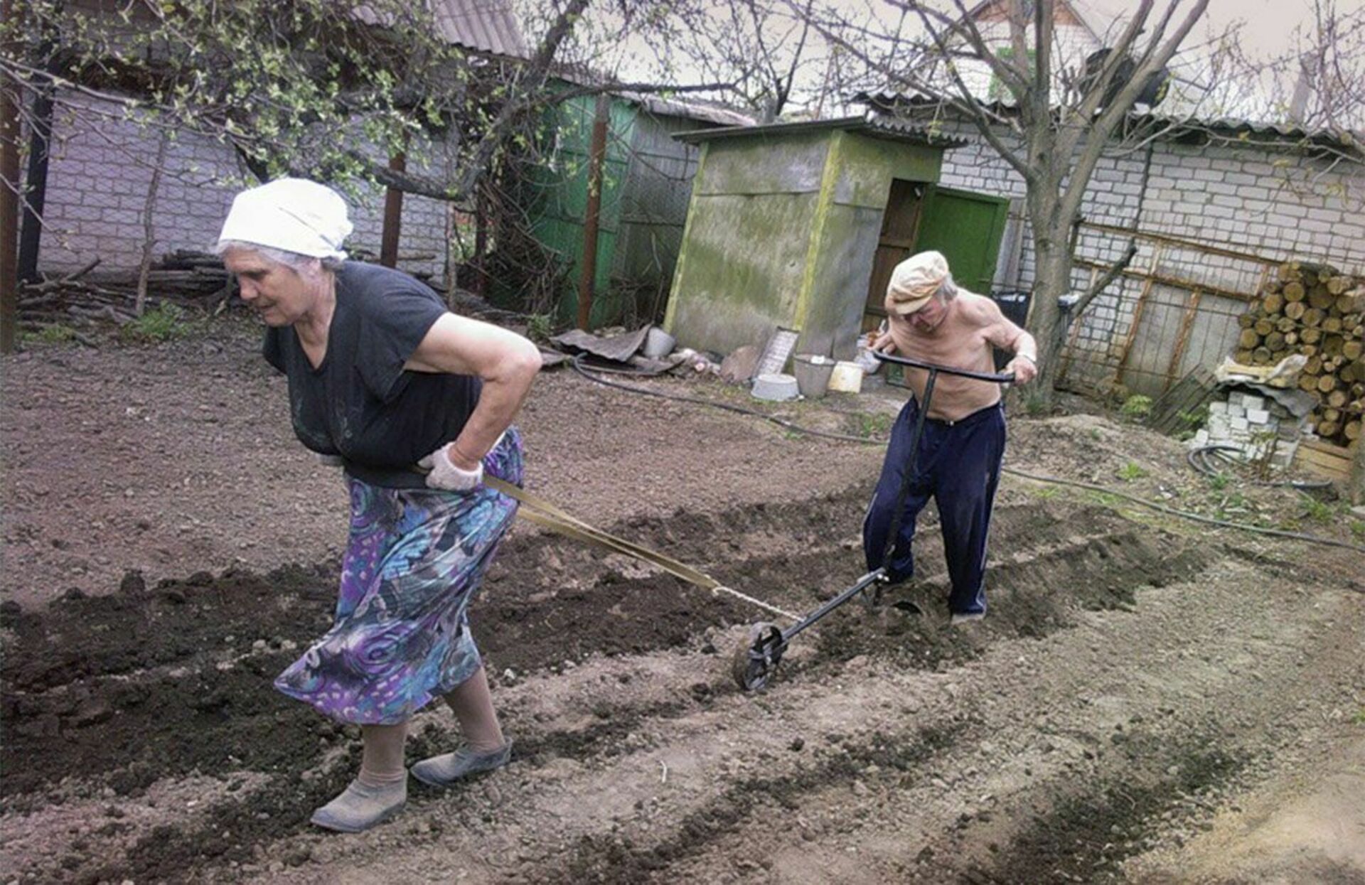 Прикольно про дачников. Пенсионеры в огороде. Пахать на даче. Пахать огород. Женщины пашут огород.