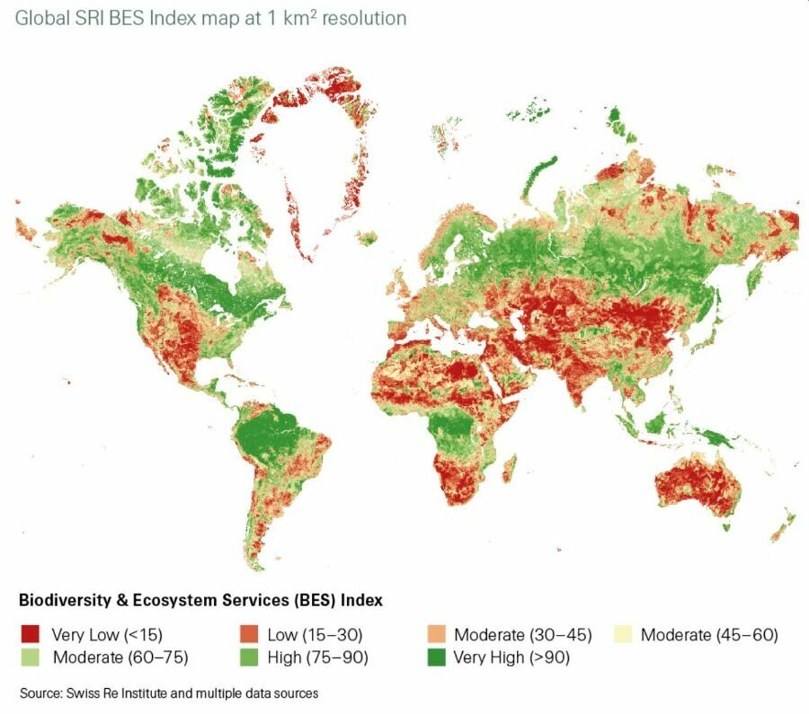 Глобальный индекс услуг, основанных на биоразнообразии и экосистемах (Biodiversity and Ecosystem Services, BES)