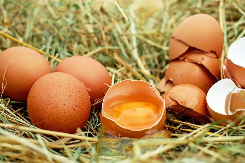 Диетолог Гинзбург рассказал, кому нельзя есть яйца в Пасху