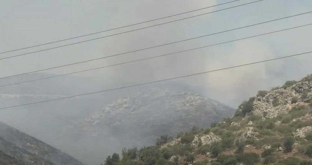 В Турции из-за лесных пожаров загорелась теплоэлектростанция