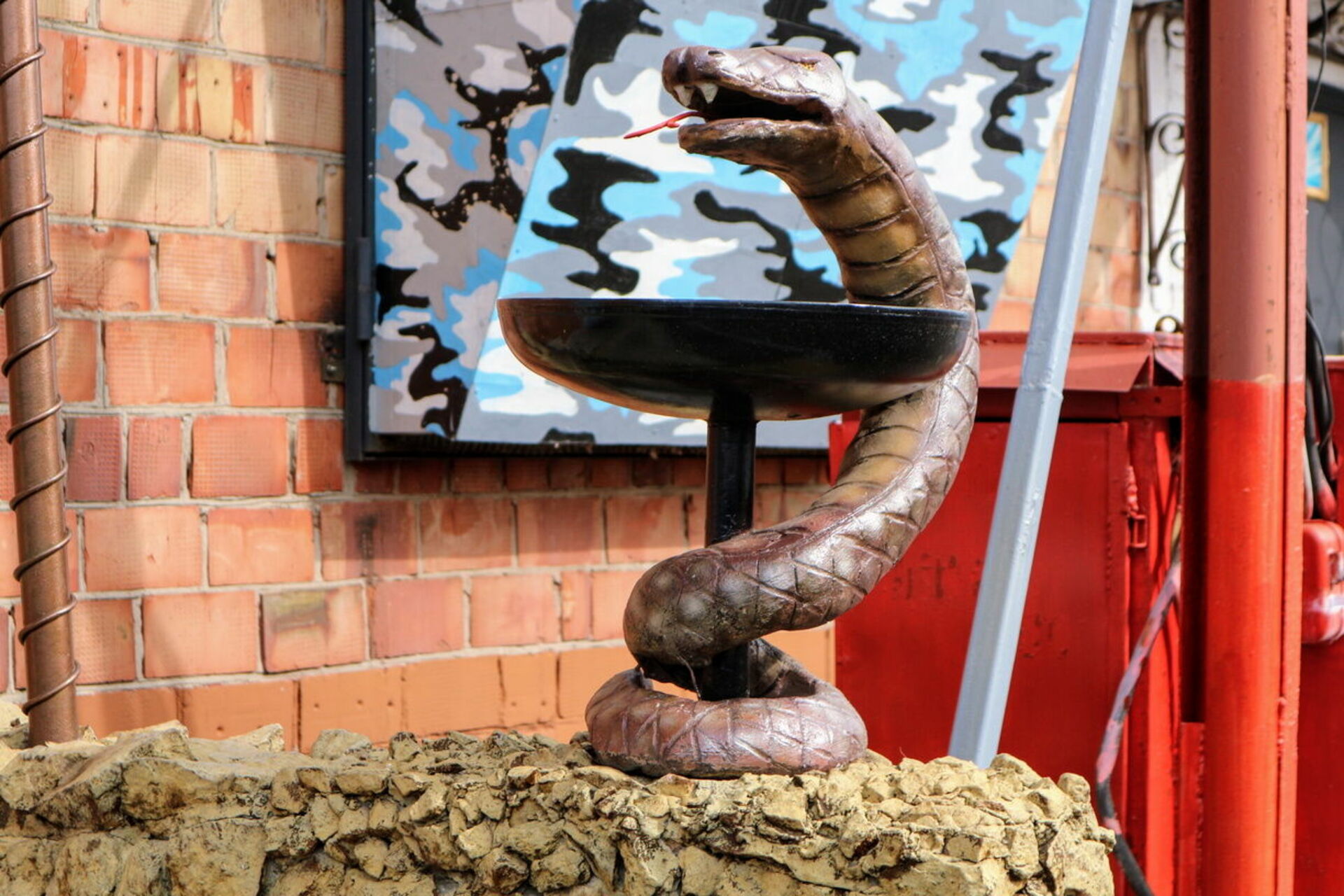 Специалист по змеям. Змеи в Новосибирске. Змеи в Екатеринбурге. Дом змей.