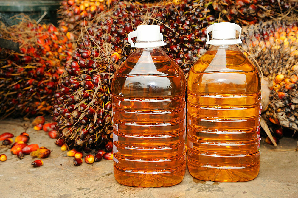 Пальмовое масло задержится в нашем рационе надолго