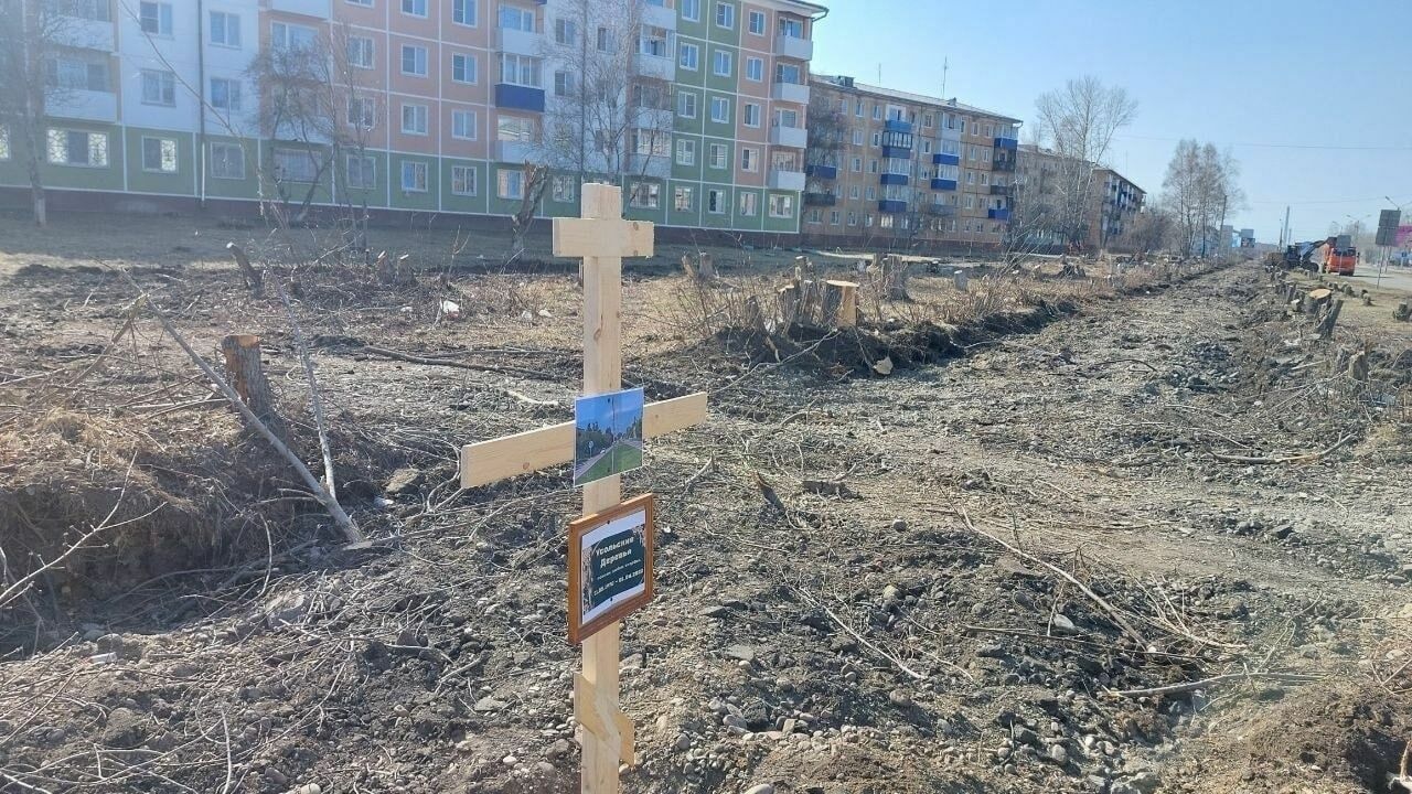 Жители Иркутска устроили «похороны» вырубленных деревьев