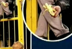 Фурсенко обещает найти хулигана, бросившего банан в Роберто Карлоса (ВИДЕО)