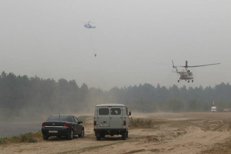 Площадь лесных пожаров в Рязанской области достигла 183 гектаров