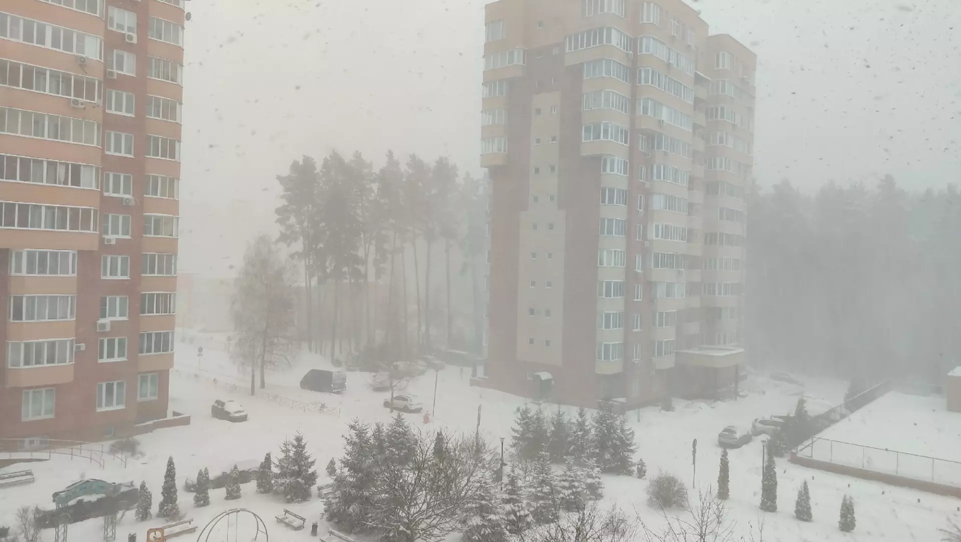 Сильнейший снегопад за 70 лет: как Москва переживает непогоду