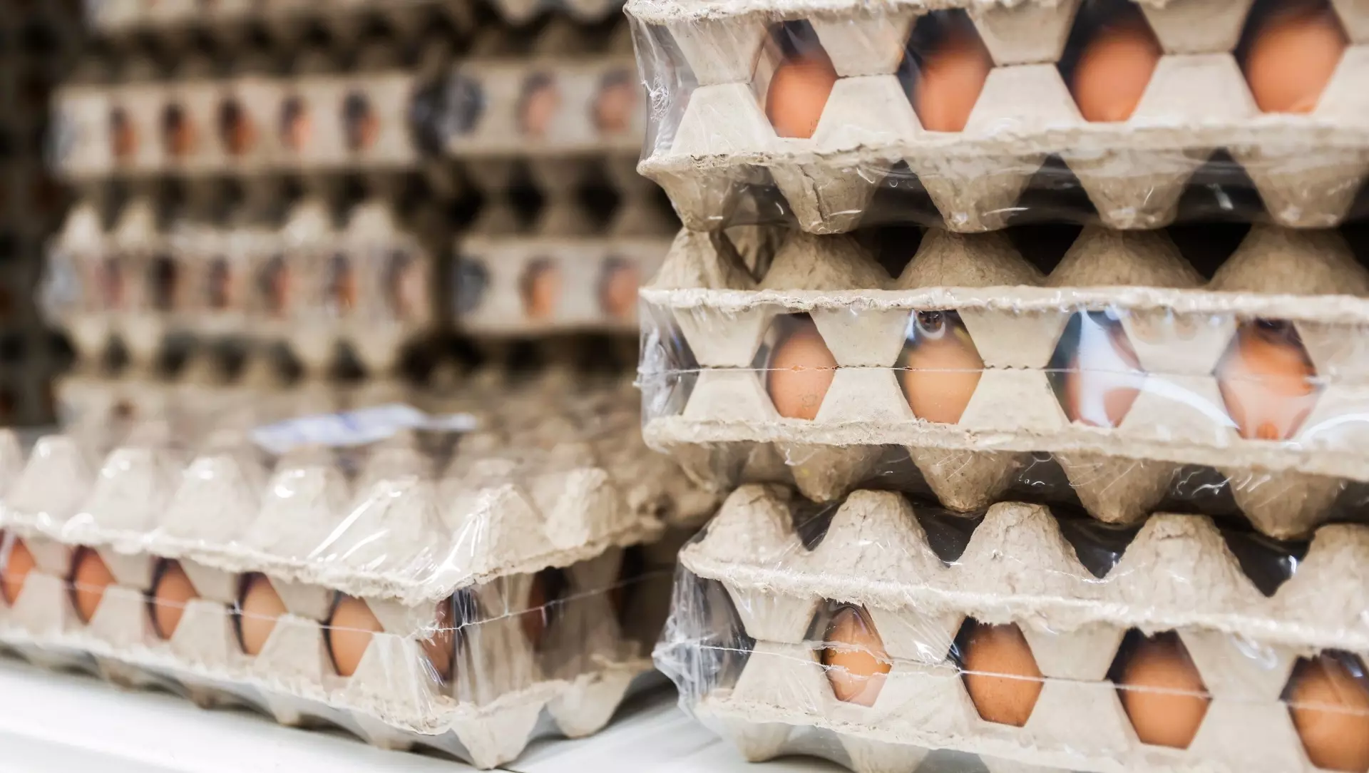 Объемы ввоза куриных яиц в Россию, несмотря на отмену пошлин, оказались невелики.