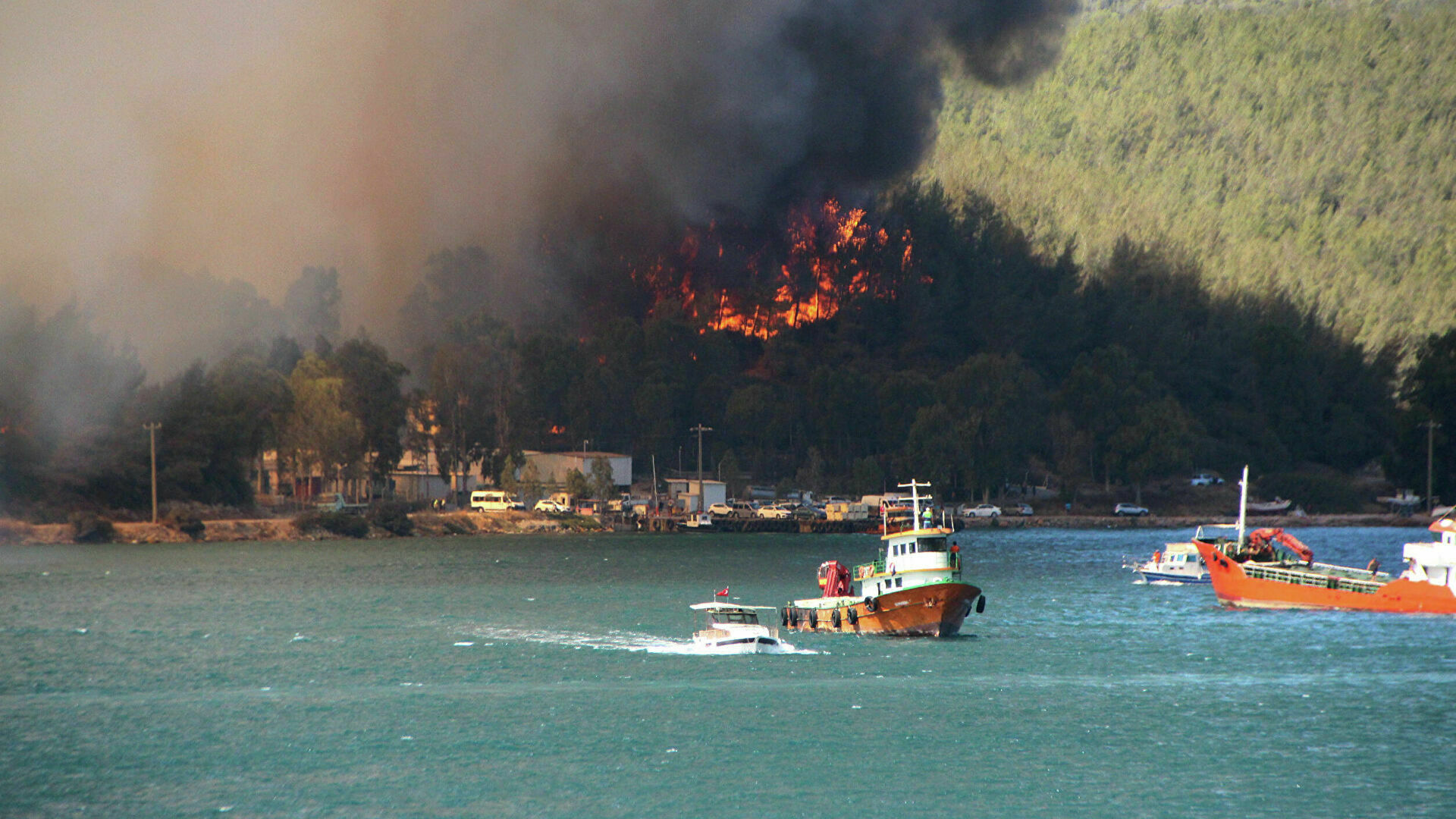 Эрдоган объявил курортную Анталью зоной бедствия из-за лесных пожаров
