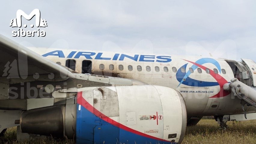 «Уральские авиалинии» прокомментировали ситуацию, почему их самолет сел на поле