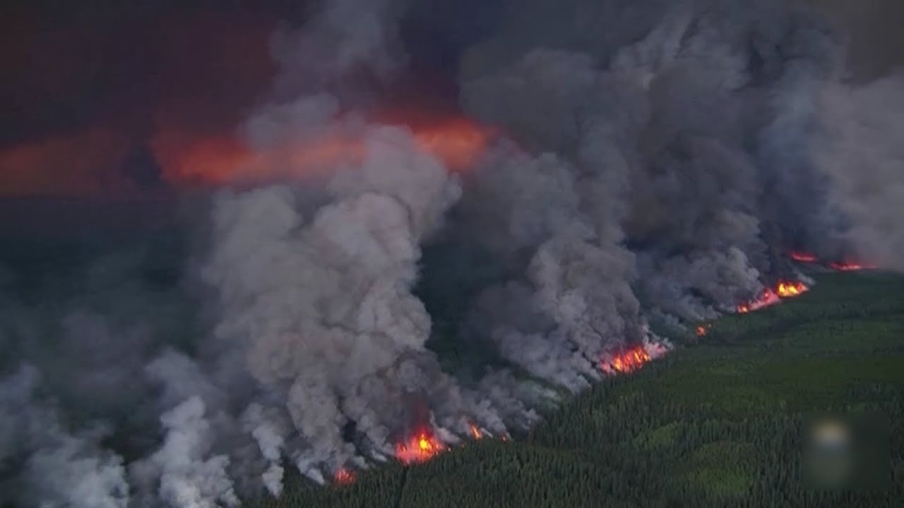 Никогда не было, и вот опять! Площадь лесных пожаров в России уже превысила 1 млн га