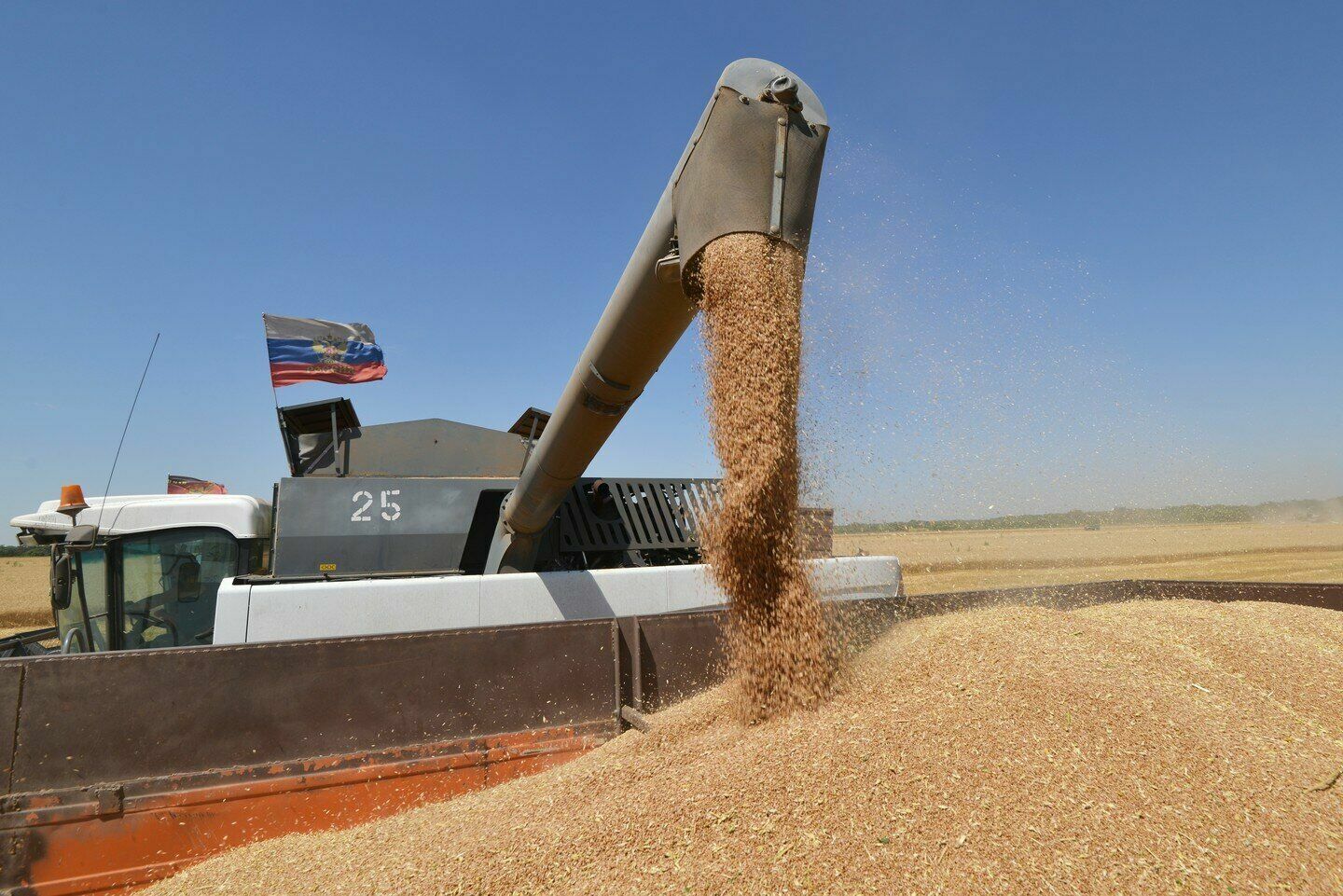 Россия готова увеличить экспорт пшеницы до 50 млн тонн