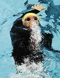 Пловцы сказали нет «технологическому допингу»
