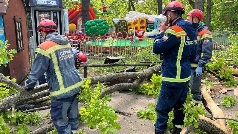 В городском парке Саратова пенсионерка и ребенок погибли при падении дерева (ФОТО)