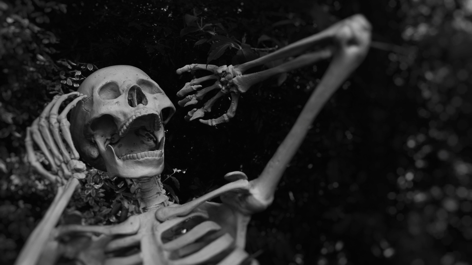 Феномен зомби: ученые увидели движения умерших в гробу и объяснили их причину