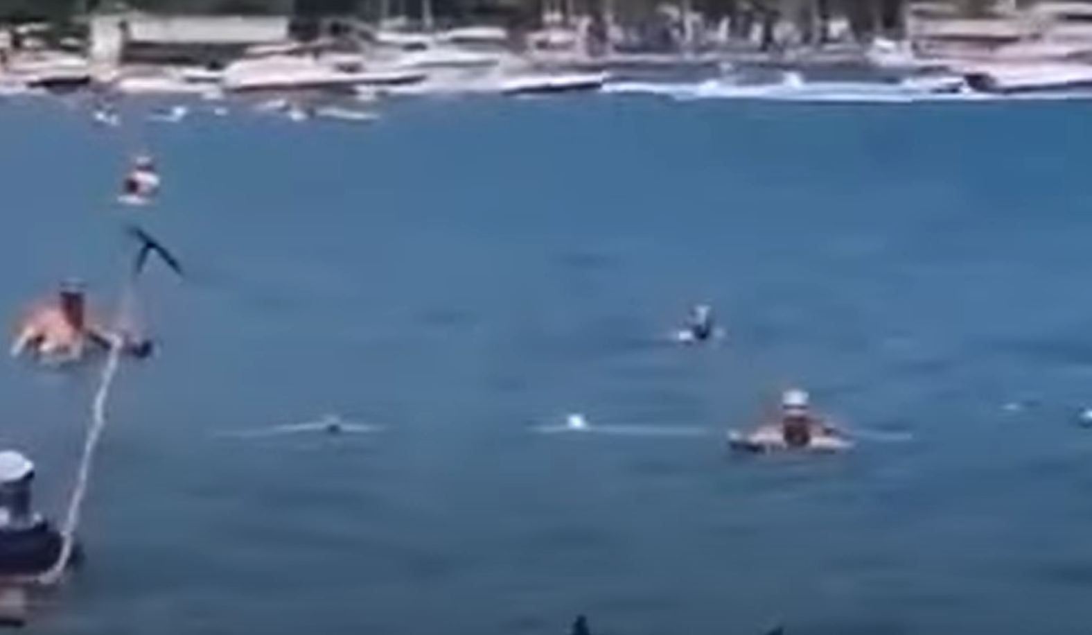 Не растерялись! Отдыхающие в Турции отбились от акулы шваброй (видео)