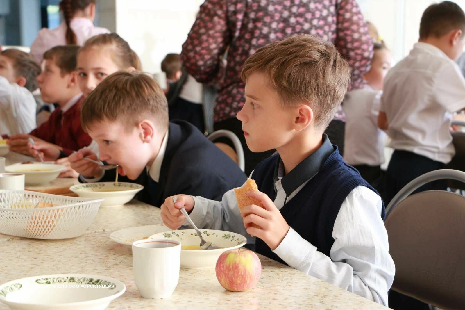 Власти в регионах не хотят помочь школам попасть в программу бесплатного питания