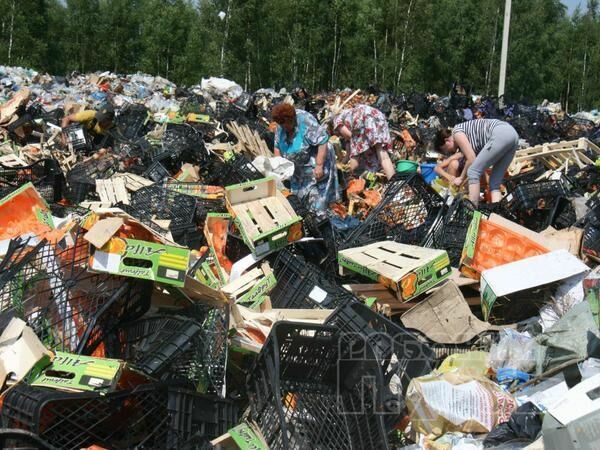 Жители Смоленска унесли с полигона уцелевшие санкционные продукты