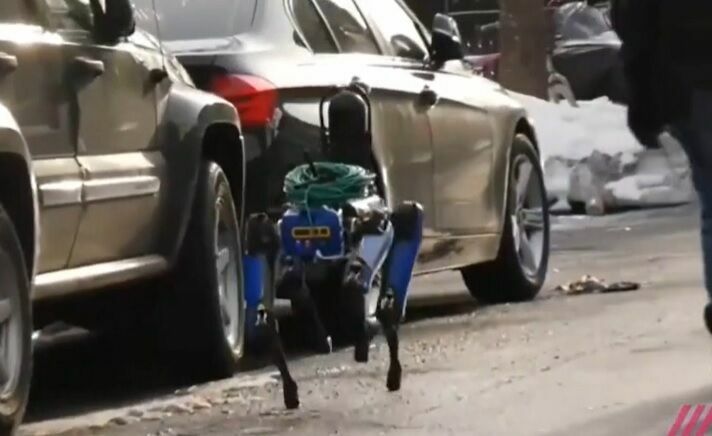 Полиция Нью-Йорка впервые использовала в реальных условиях робота-пса