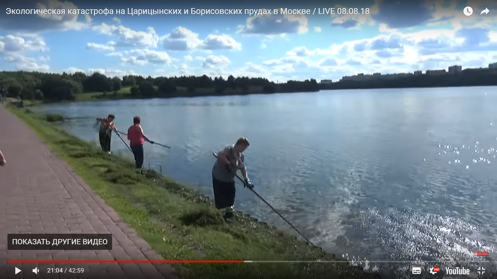 Видео дня: дохлую рыбу с московских прудов вывозят грузовиками