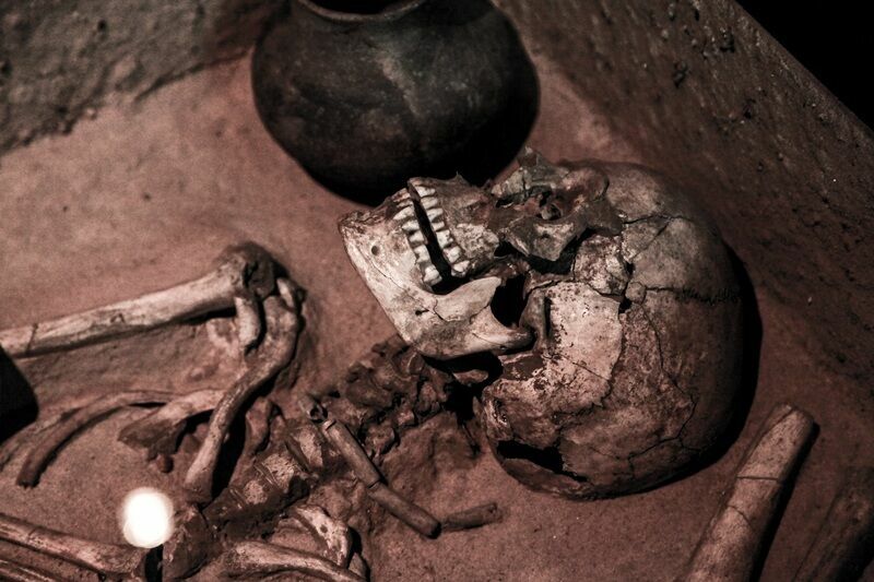 В Болгарии обнаружили самые старые следы древнего человека в Европе