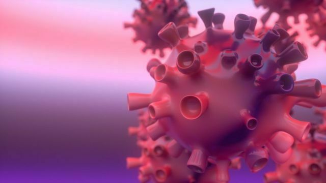 Ученые нашли молекулы, защищающие коронавирус от антител