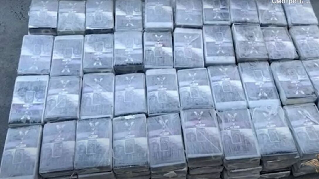 Полицейские в Петербурге обнаружили свыше 200 кг кокаина в грузовике с фруктами
