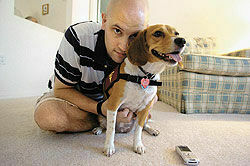 Собака спасла хозяину жизнь / Австралийки терпят до июля / Найден дом, где родился Робин Гуд