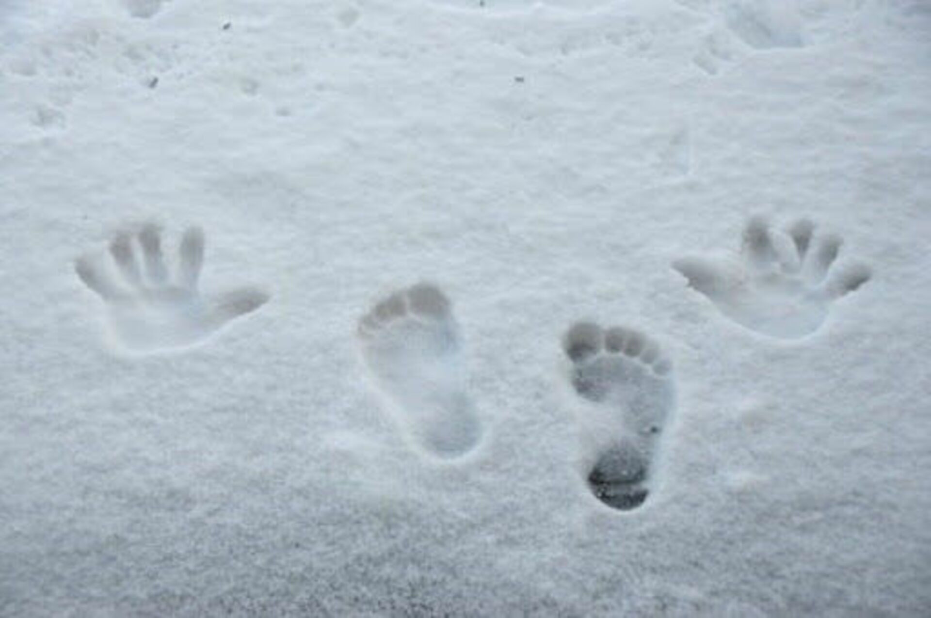 След славные падонки. Следы на снегу. Следы человека на снегу. Отпечаток на снегу. Отпечатки ног на снегу.