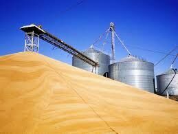 Россия готовится в этом сезоне установить мировой рекорд по экспорту зерна