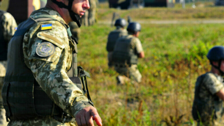 Олейник: Украина хочет захватить Ростовскую область