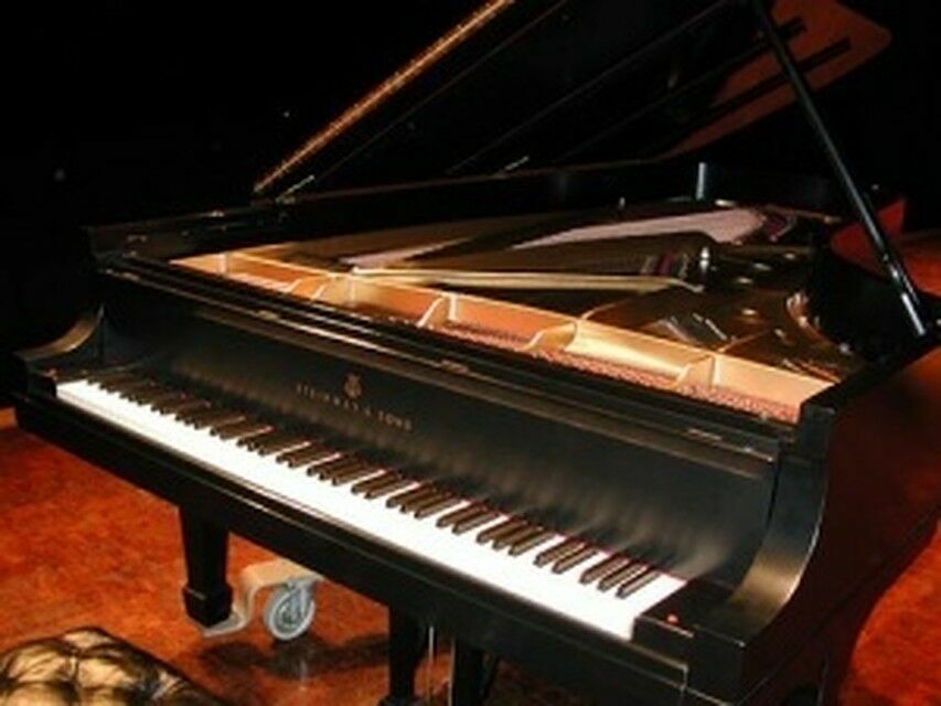 Мэрия приморского города закупает рояль за 3,1 миллиона